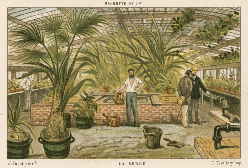 Serre - French School
