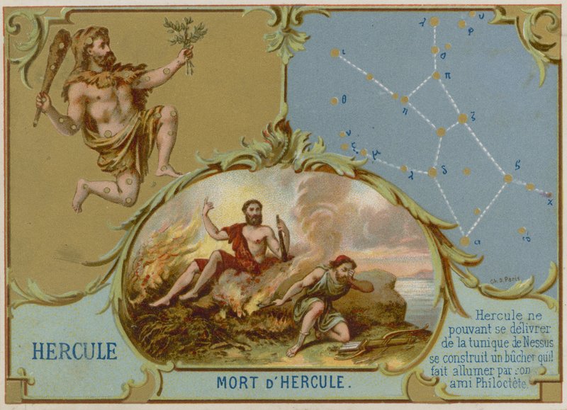 Hercule - French School