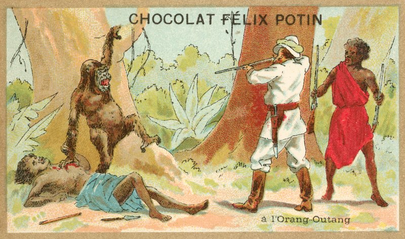 Chasse à l