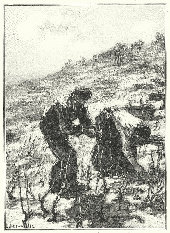 La Taille des Vignes - French School