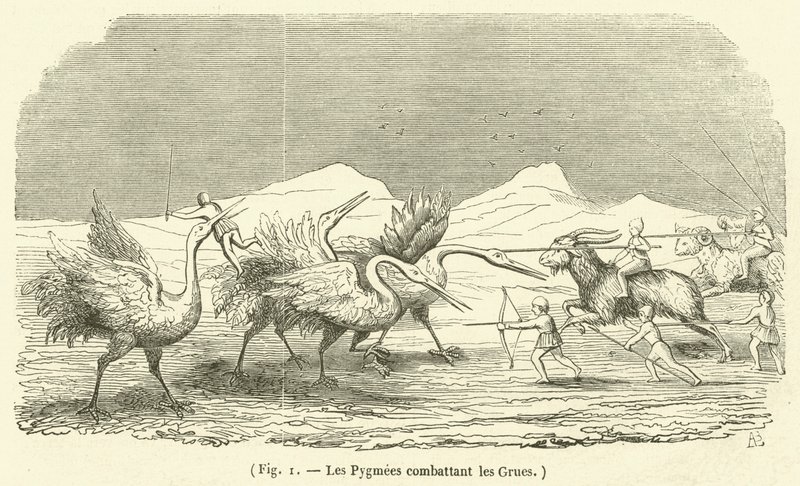 Les Pygmées combattant les Grues - French School