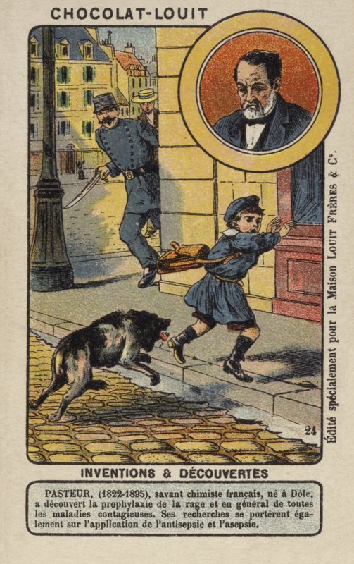 Louis Pasteur, chimiste et microbiologiste français - French School