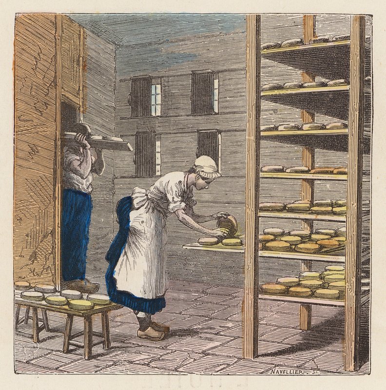 Fabrication de fromage - French School