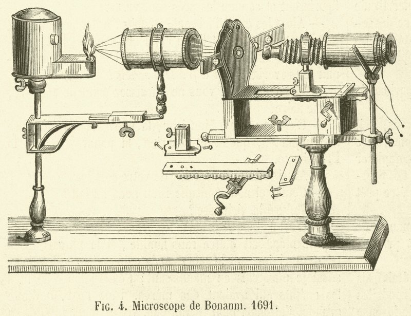 Microscope de Bonanni - French School