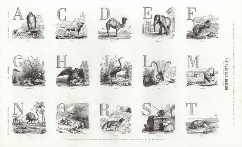 Page de Vignettes Typographiques (gravure) - French School