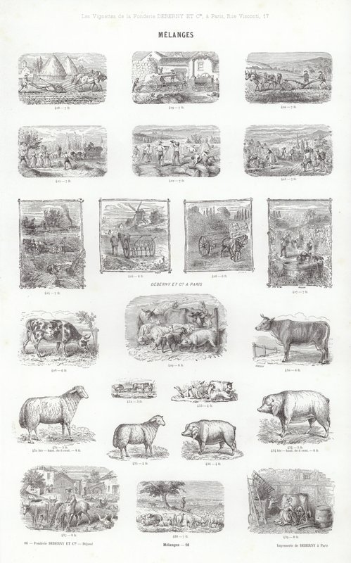 Page de Vignettes Typographiques - French School