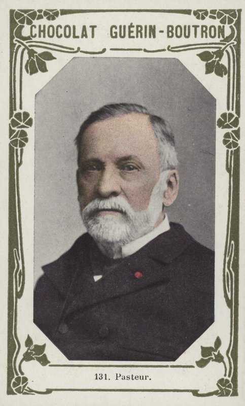 Pasteur - French School