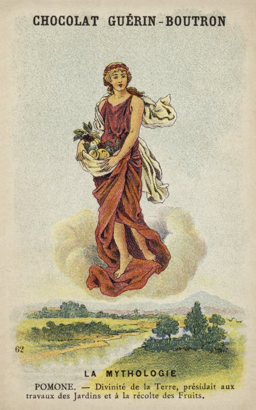 Pomone ou Pomona - French School