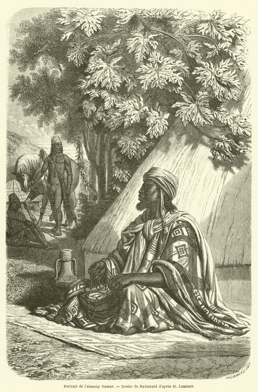Portrait de l