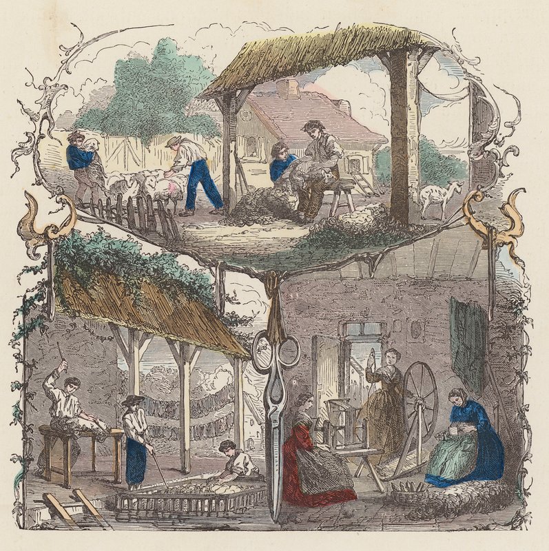 Production de laine - French School