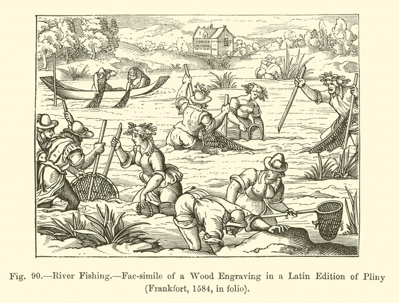 Pêche en rivière - French School