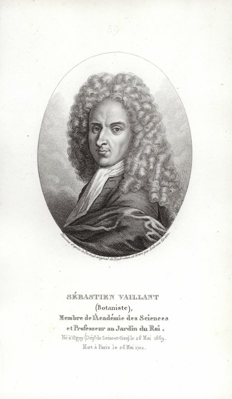 Sébastien Vaillant - French School
