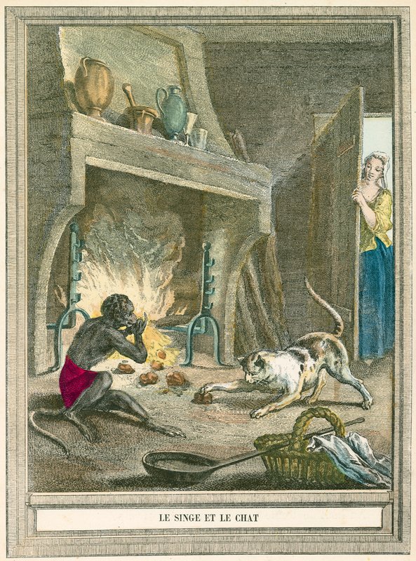 Le singe et le chat - French School