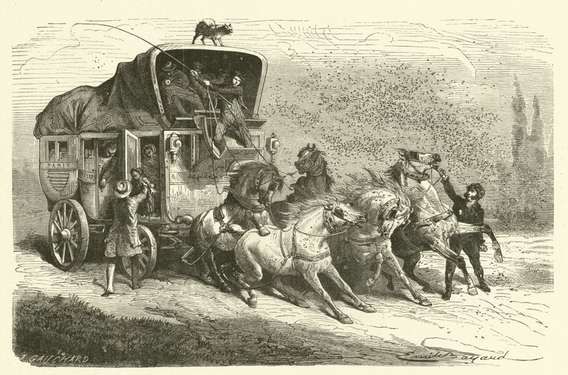 La pluie de coléoptères (gravure) - French School