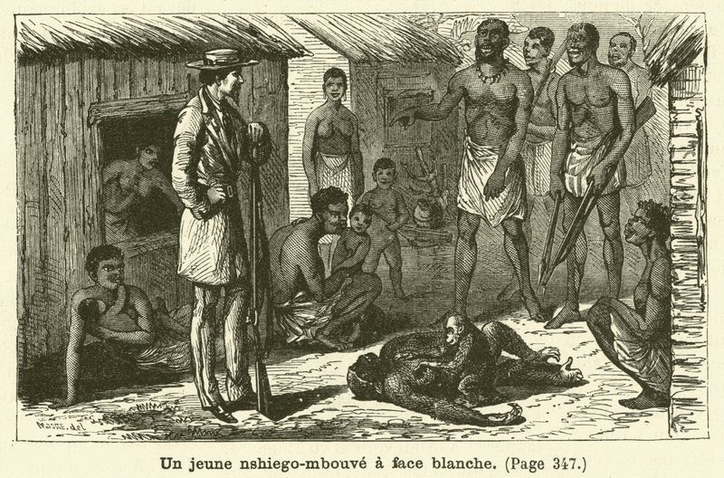 Un jeune nshiego-mbouvé à face blanche - French School