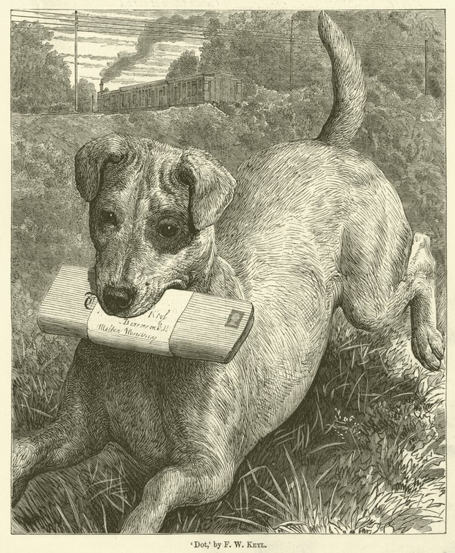 Chien - Friedrich Wilhelm Keyl