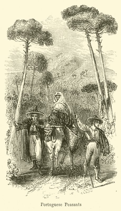 Paysans portugais - G. F. Sargent