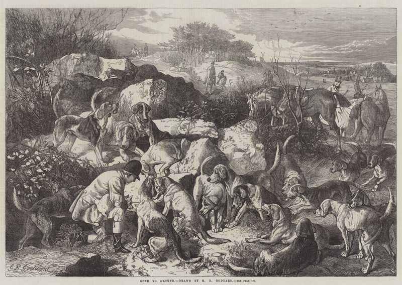 Disparu - George Bouverie Goddard