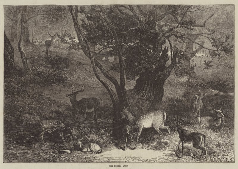 Les mois, juillet - George Bouverie Goddard