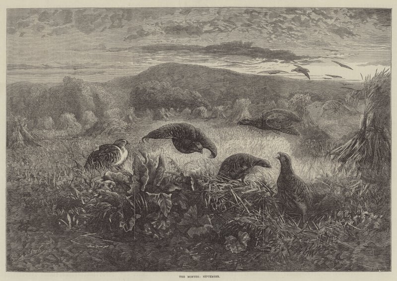 Les Mois, septembre - George Bouverie Goddard