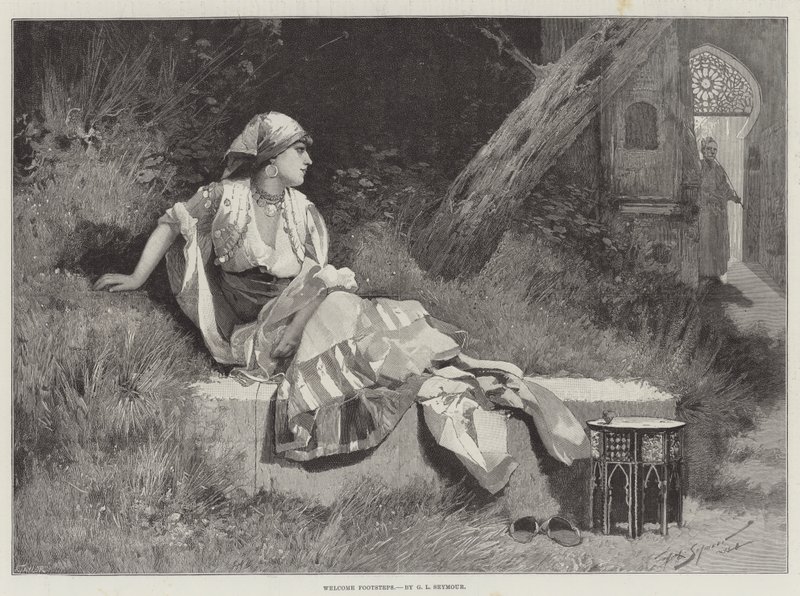 Pas de bienvenue - George L. Seymour