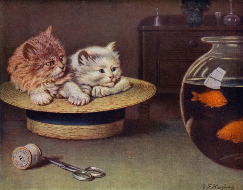 Observation - George H. Hughes