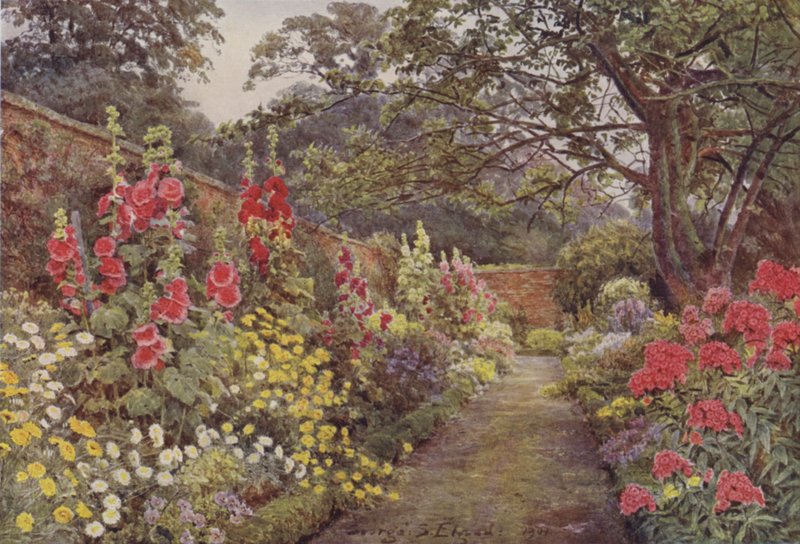 Blyborough, Roses trémières - George Samuel Elgood