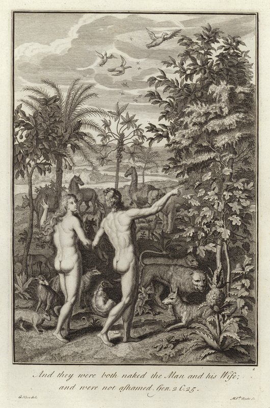 Adam et Ève - Gerard Hoet