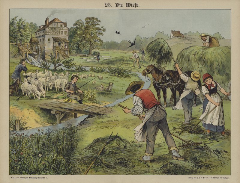 Herbe - German School