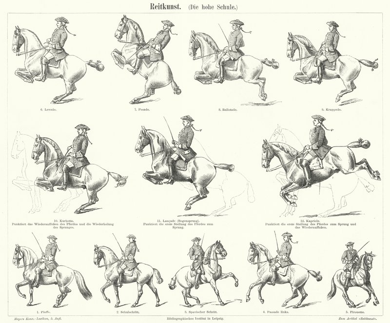 Équitation (gravure) - German School