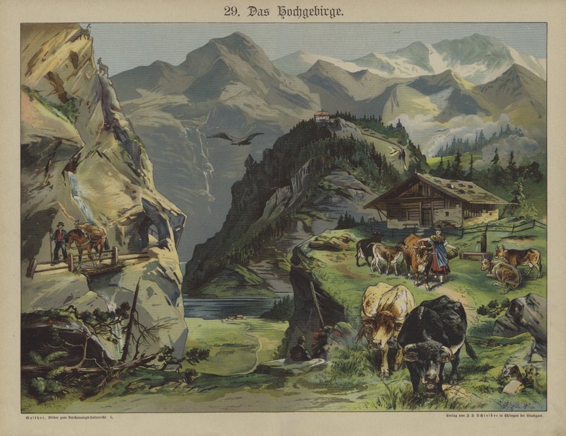Vie en montagne - German School