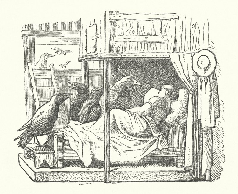 Les sept corbeaux (gravure) - German School