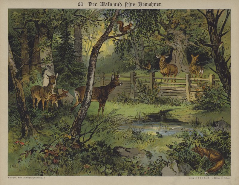Faune - German School