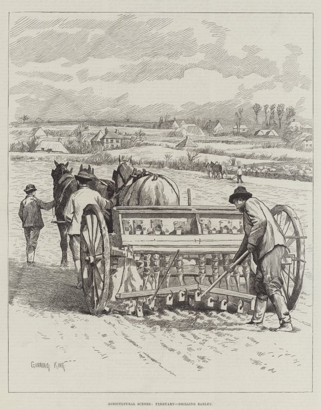 Scènes agricoles, février, semis d