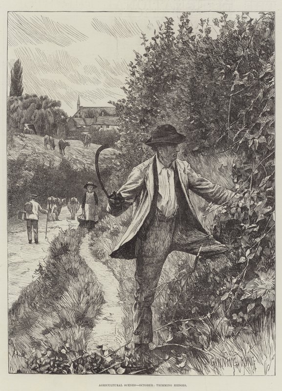 Scènes agricoles, octobre, taille des haies - Gunning King