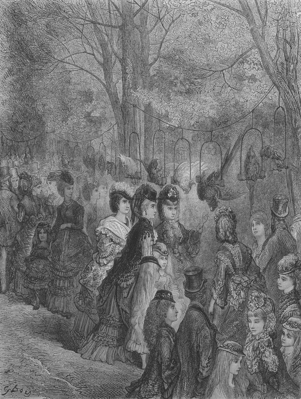 Jardin zoologique, les oiseaux - Gustave after Dore