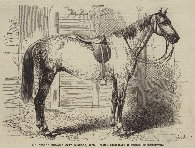 Le cheval gris de Sir George Brown, Alma - Gustave Janet