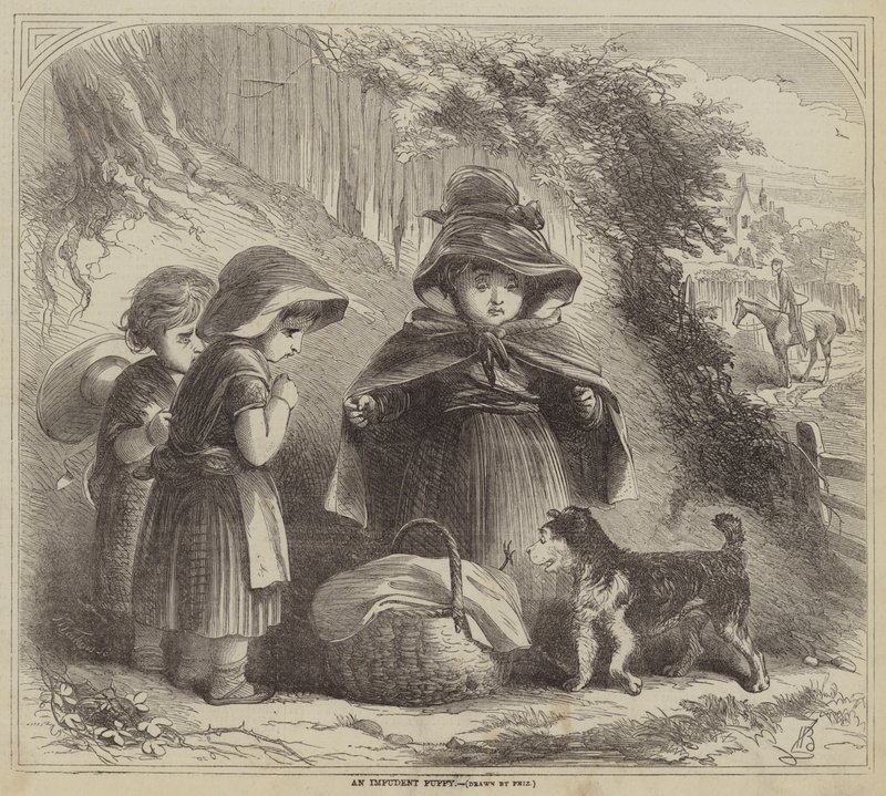 Un chiot impudent - Hablot Knight Browne