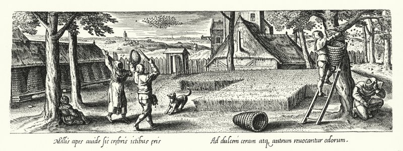 Apiculteurs (gravure) - Hans (after) Bol