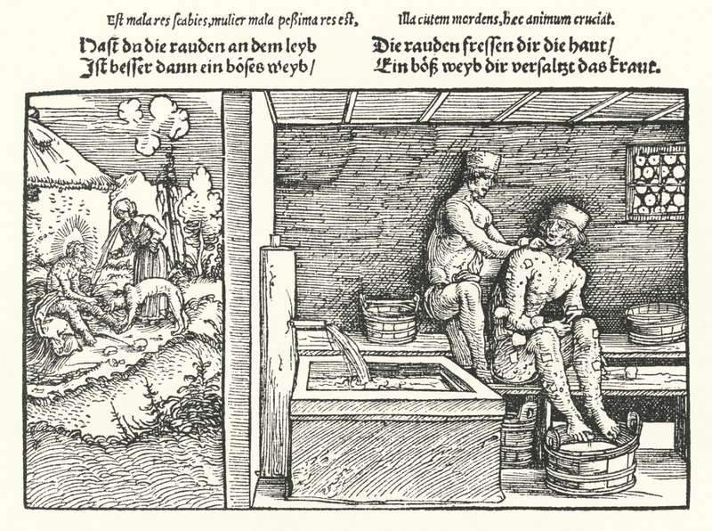 La gale - Hans (after) Burgkmair