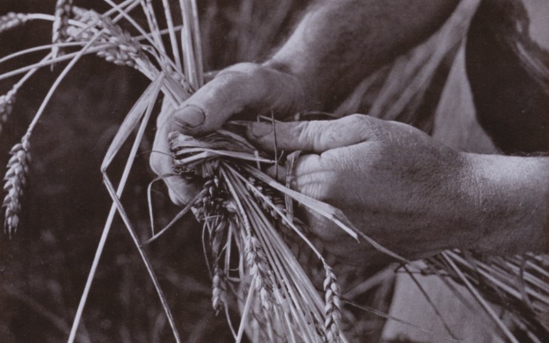 Fabrication de bandes de paille - Harold Burdekin