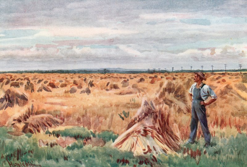 Le long des champs de blé du Manitoba - Harold Copping