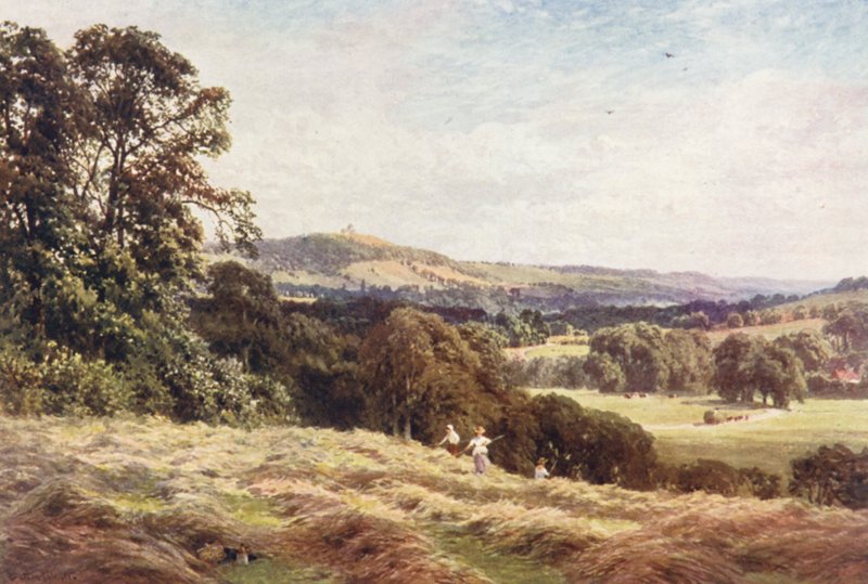 Un champ de foin, Wonersh - Harold Sutton Palmer