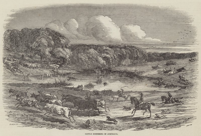 Rassemblement de bétail en Australie - Harrison William Weir
