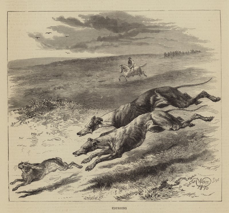 Course - Harrison William Weir