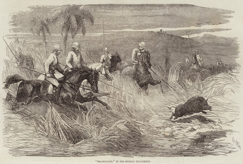 Chasse au Sanglier dans la Présidence de Bombay - Harrison William Weir