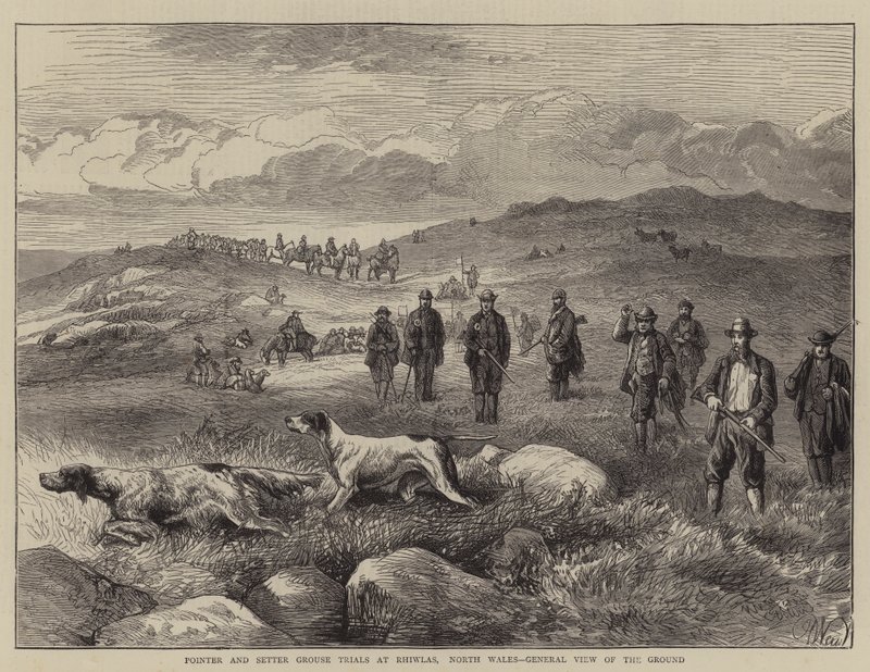 Essais de pointer et de setter de grouse à Rhiwlas, Pays de Galles du Nord, vue générale du terrain - Harrison William Weir