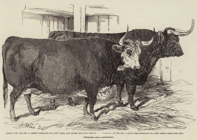 Exposition de bétail du Smithfield Club - Harrison William Weir
