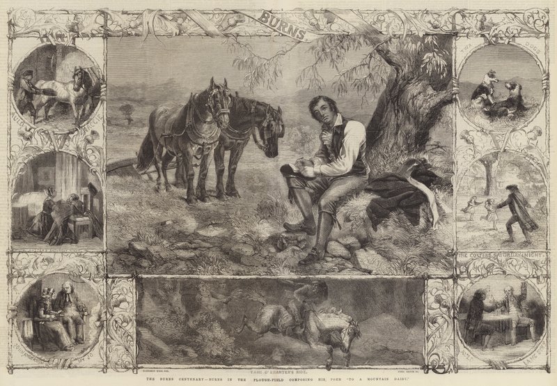 Le centenaire de Burns, Burns dans le champ de labour composant son poème À une marguerite - Harrison William Weir