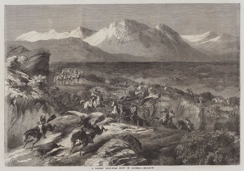 Une récente chasse au sanglier en Algérie - Harrison William Weir